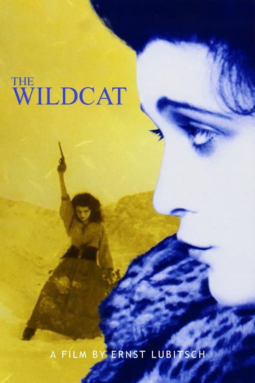 Die Bergkatze poster