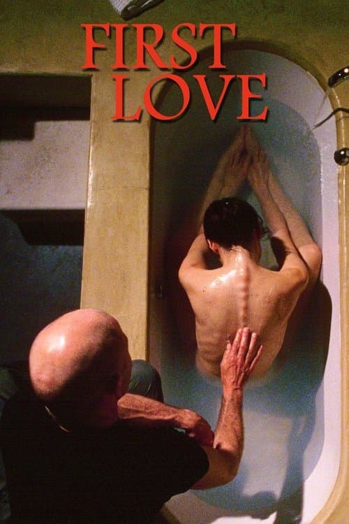 Premier Amour poster