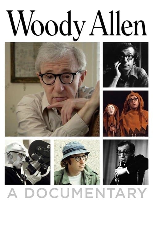 Woody Allen - A Documentary poster