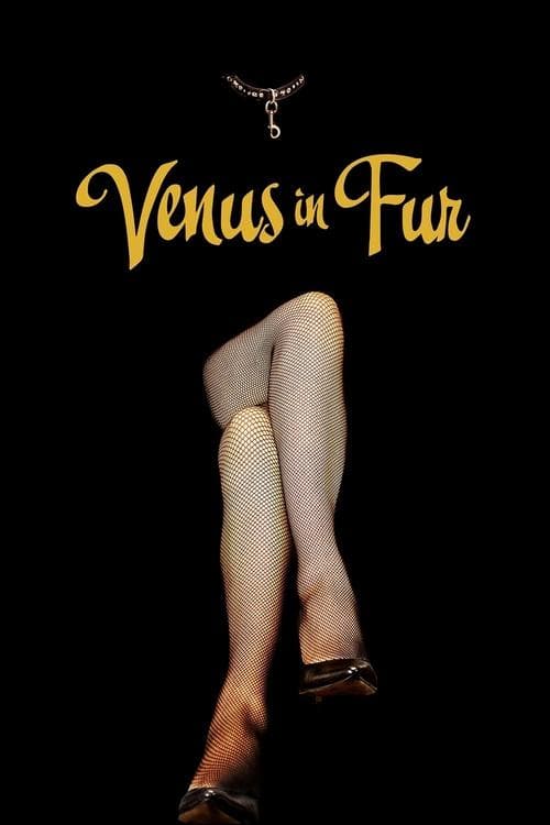 La Vénus à la fourrure poster