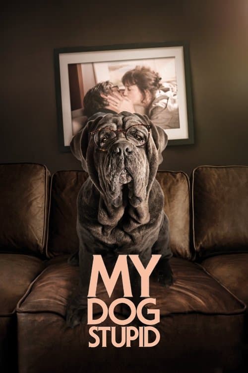 Mon Chien Stupide poster