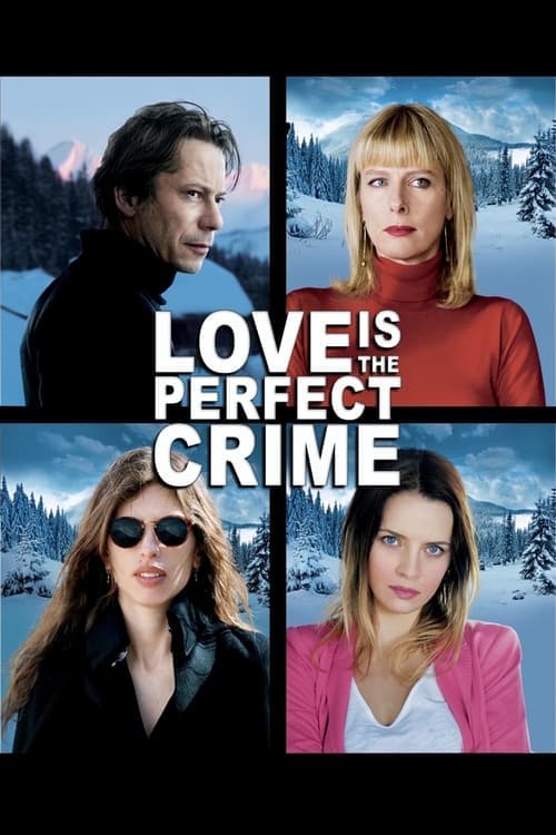 L'amour est un crime parfait poster