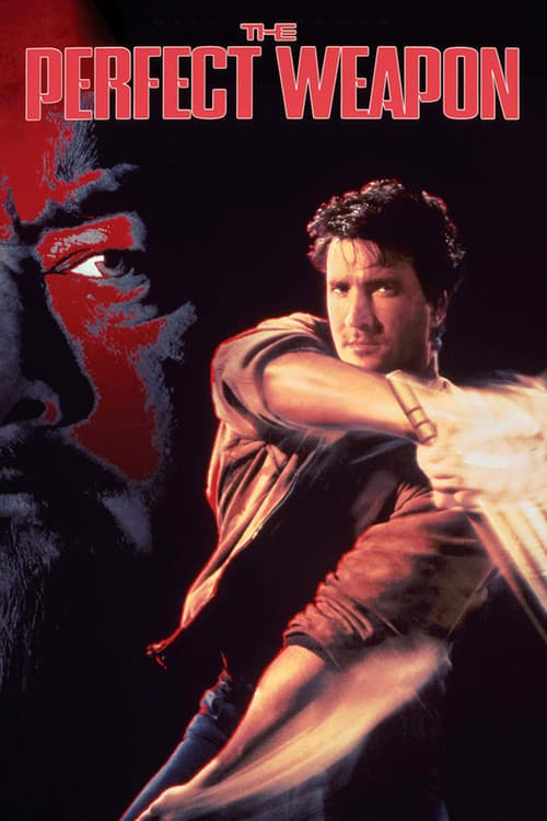 L'Arme parfaite poster