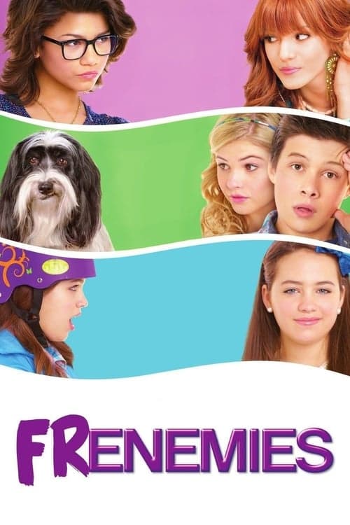 Amiennemies poster