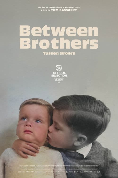 Tussen broers poster