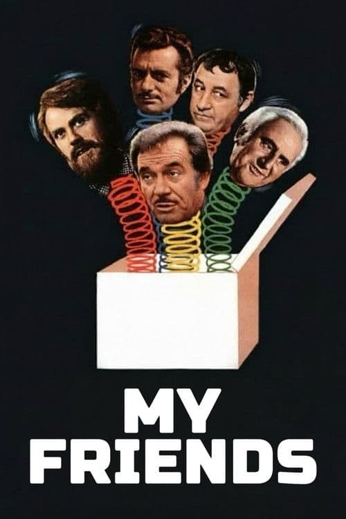 Amici miei poster