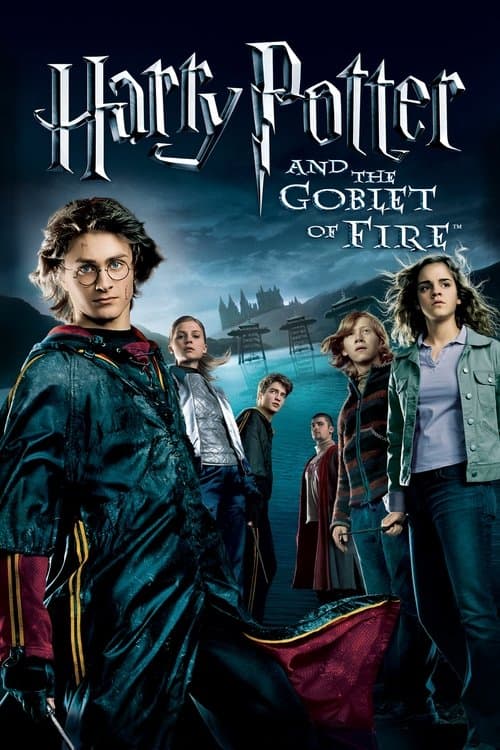 Harry Potter et la Coupe de feu poster