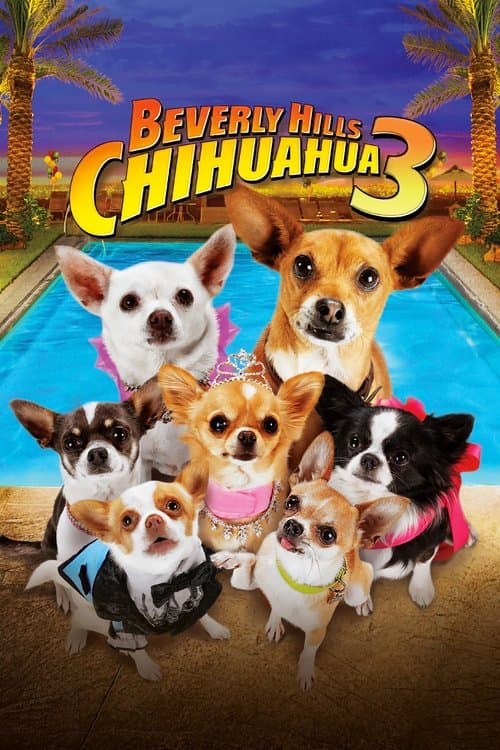 Beverly Hills Chihuahua 3: Laat Het Feest Beginnen! poster