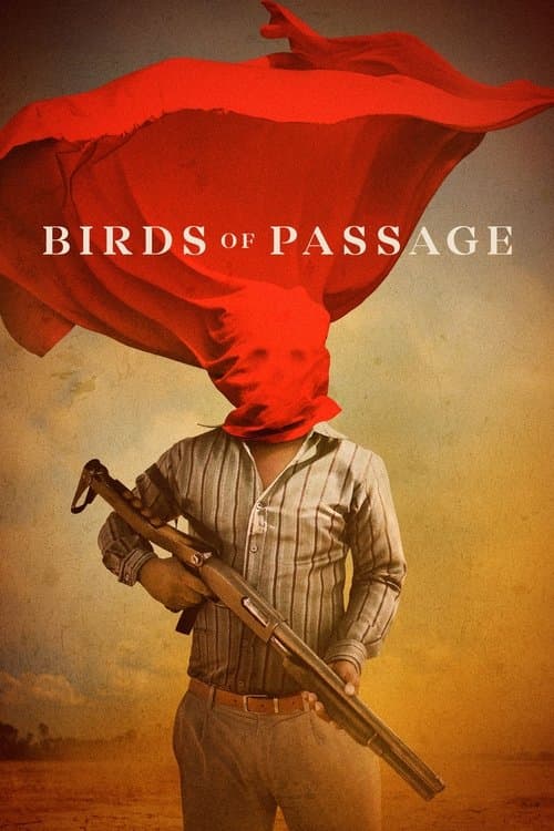 Pájaros de verano poster