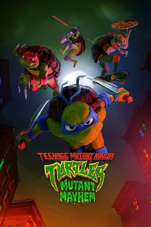 Ninja Turtles : Teenage Years poster