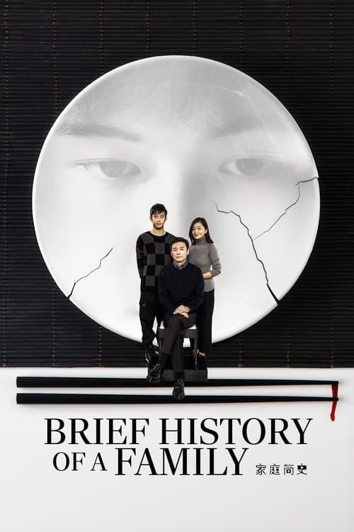 家庭简史 poster