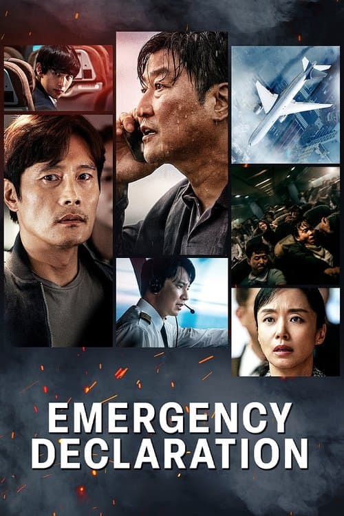 Emergency Declaration poster