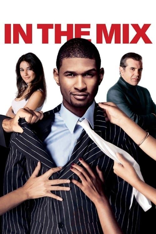 In the Mix poster