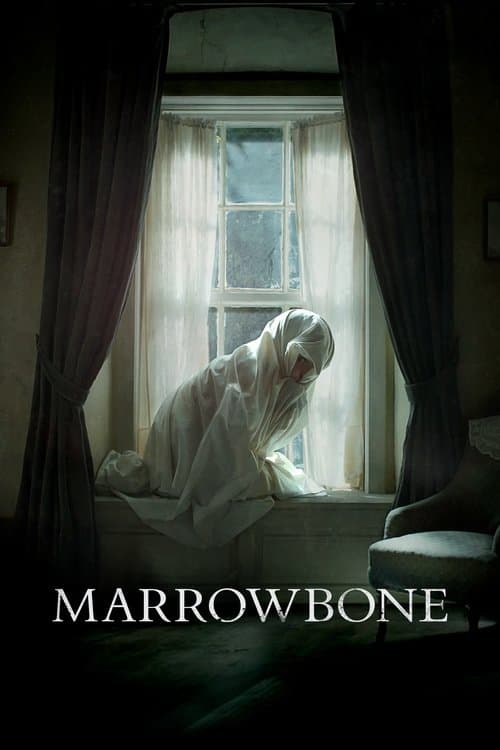 Le Secret des Marrowbone poster