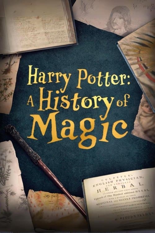 Harry Potter, aux origines de la magie poster