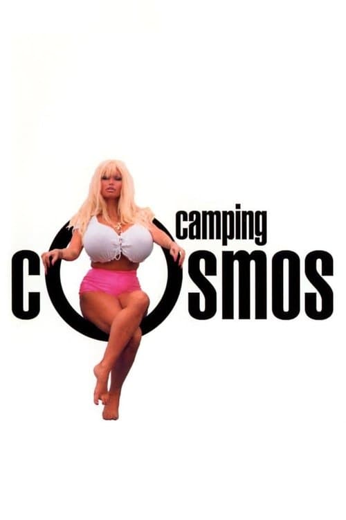 La Vie sexuelle des Belges deel 2 - Camping Cosmos poster