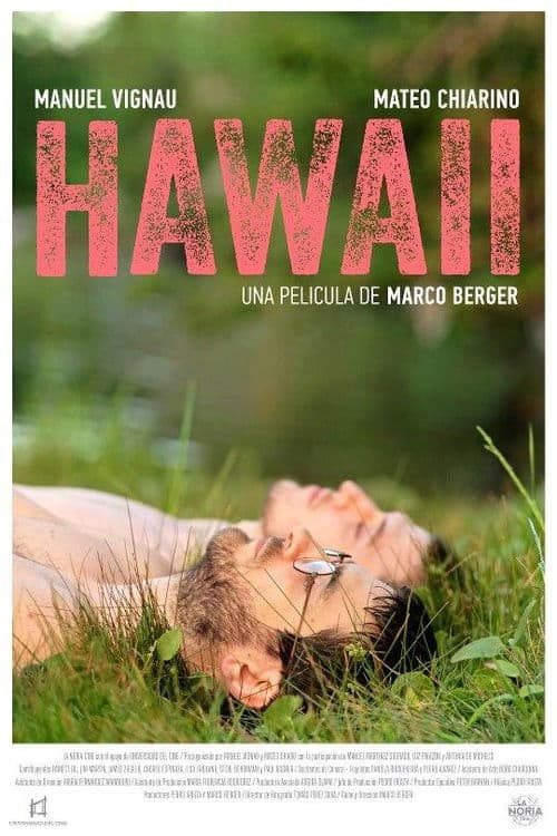 Hawaii poster