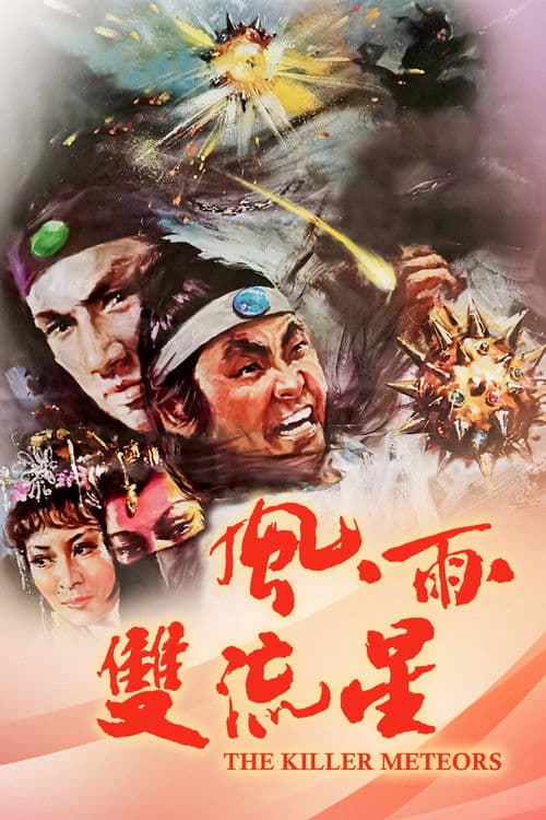 風雨雙流星 poster
