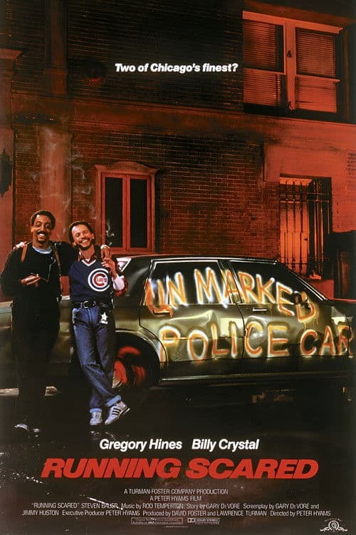 Deux flics à Chicago poster