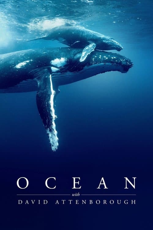 David Attenborough : L'Appel de l'Océan poster