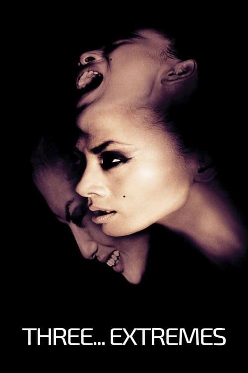 3 extrêmes poster