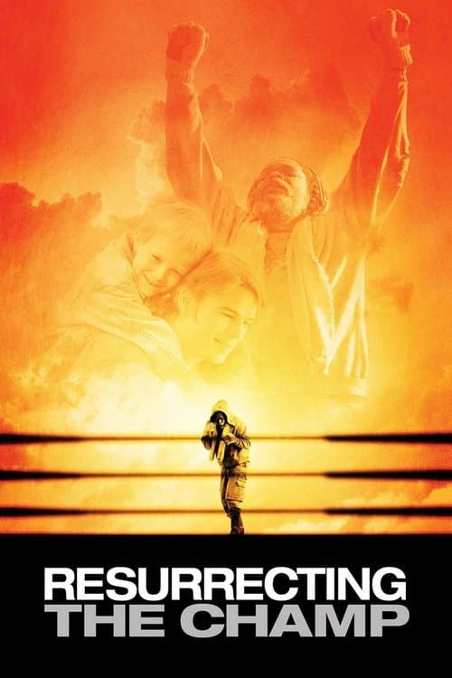 Renaissance d'un champion poster