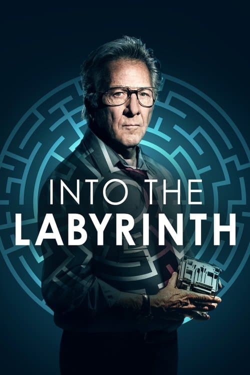 L'Homme du labyrinthe poster