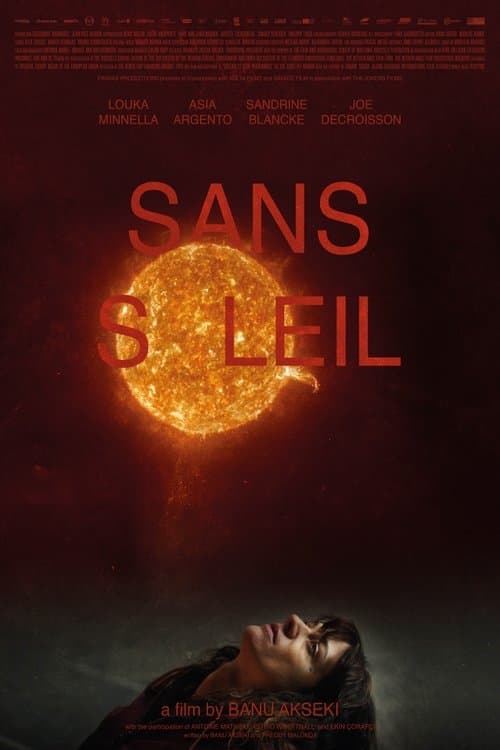 Sans soleil poster