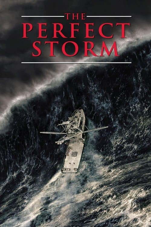En pleine tempête poster