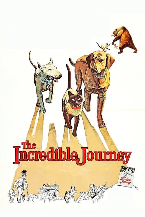 L'incroyable randonnée poster