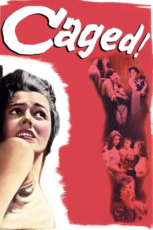 Femmes en cage poster