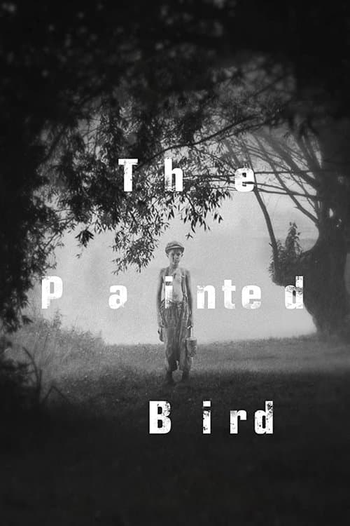 L'Oiseau bariolé poster