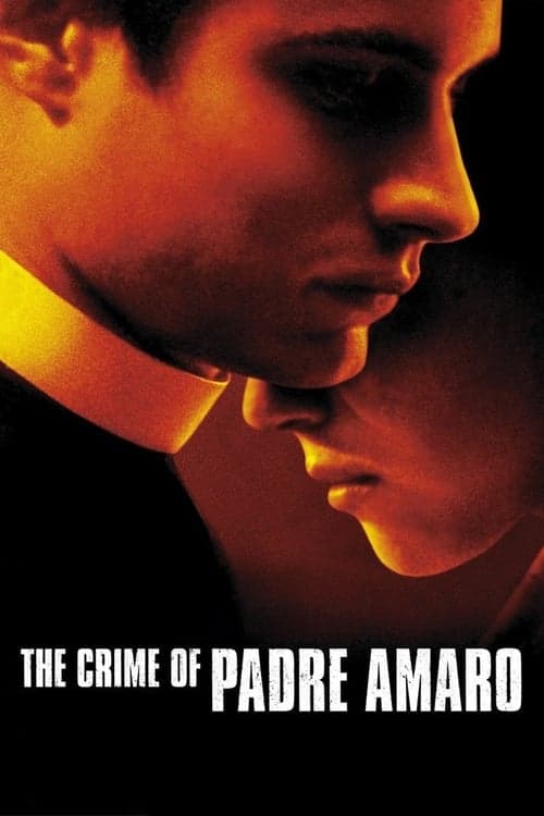 Le Crime du père Amaro poster