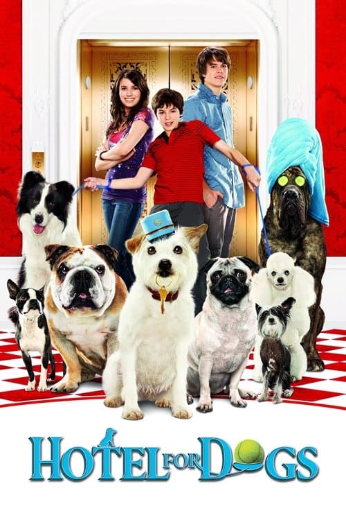 Palace pour chiens poster