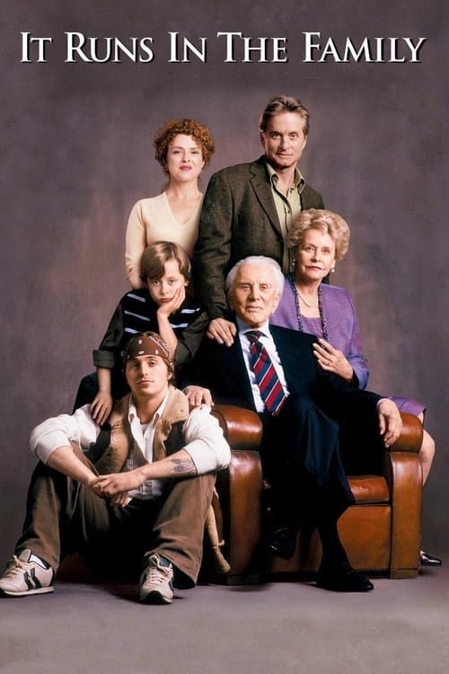Une si belle famille poster