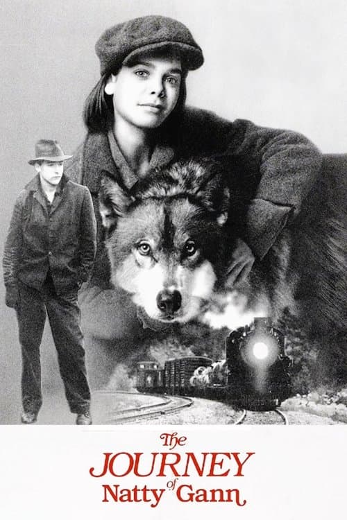 Natty Gann poster