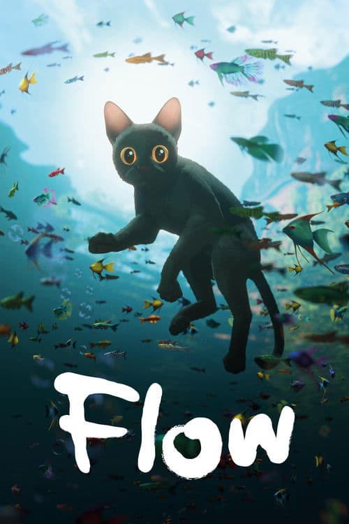 Flow, le chat qui n'avait plus peur de l'eau poster