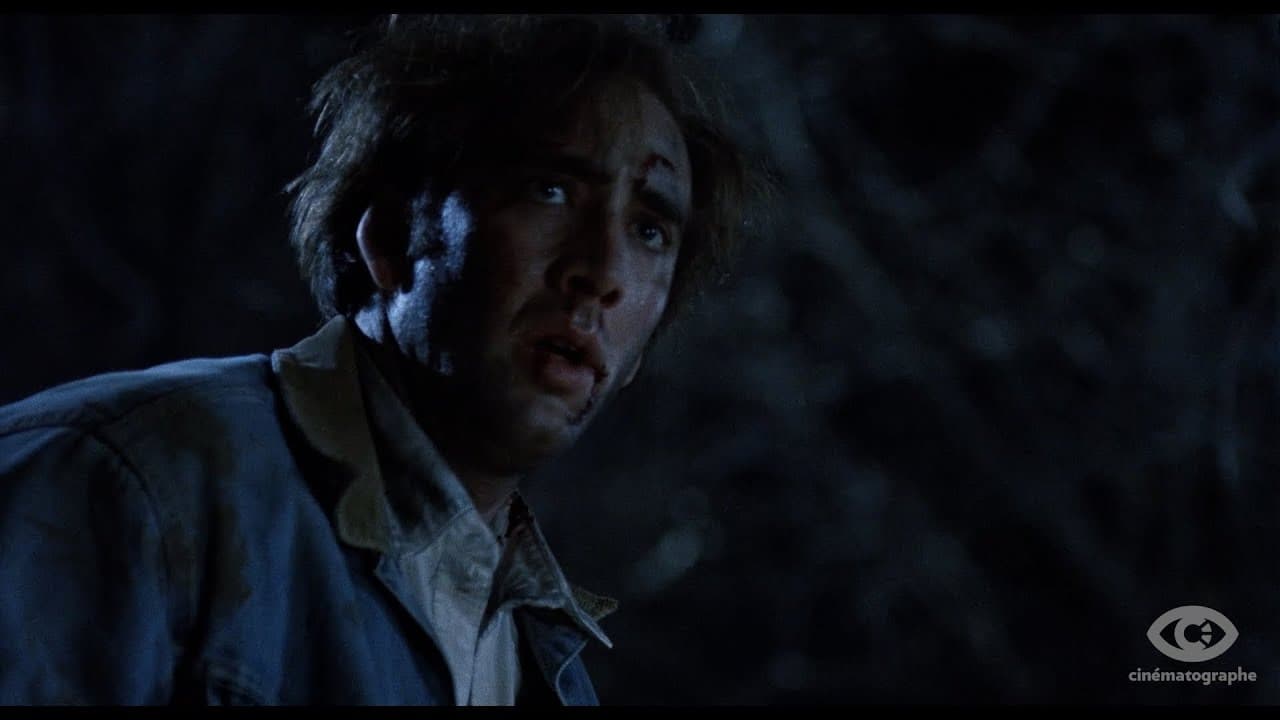 Red Rock West trailer thumbnail