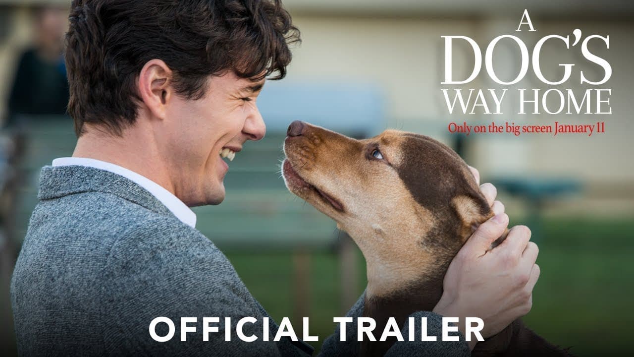 A Dog's Way Home trailer thumbnail