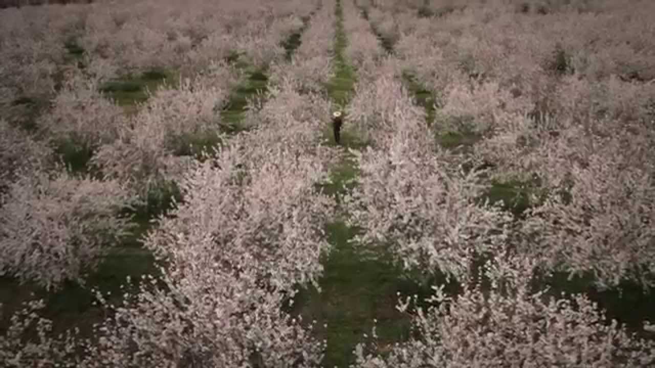 Amsterdam Stories USA trailer thumbnail