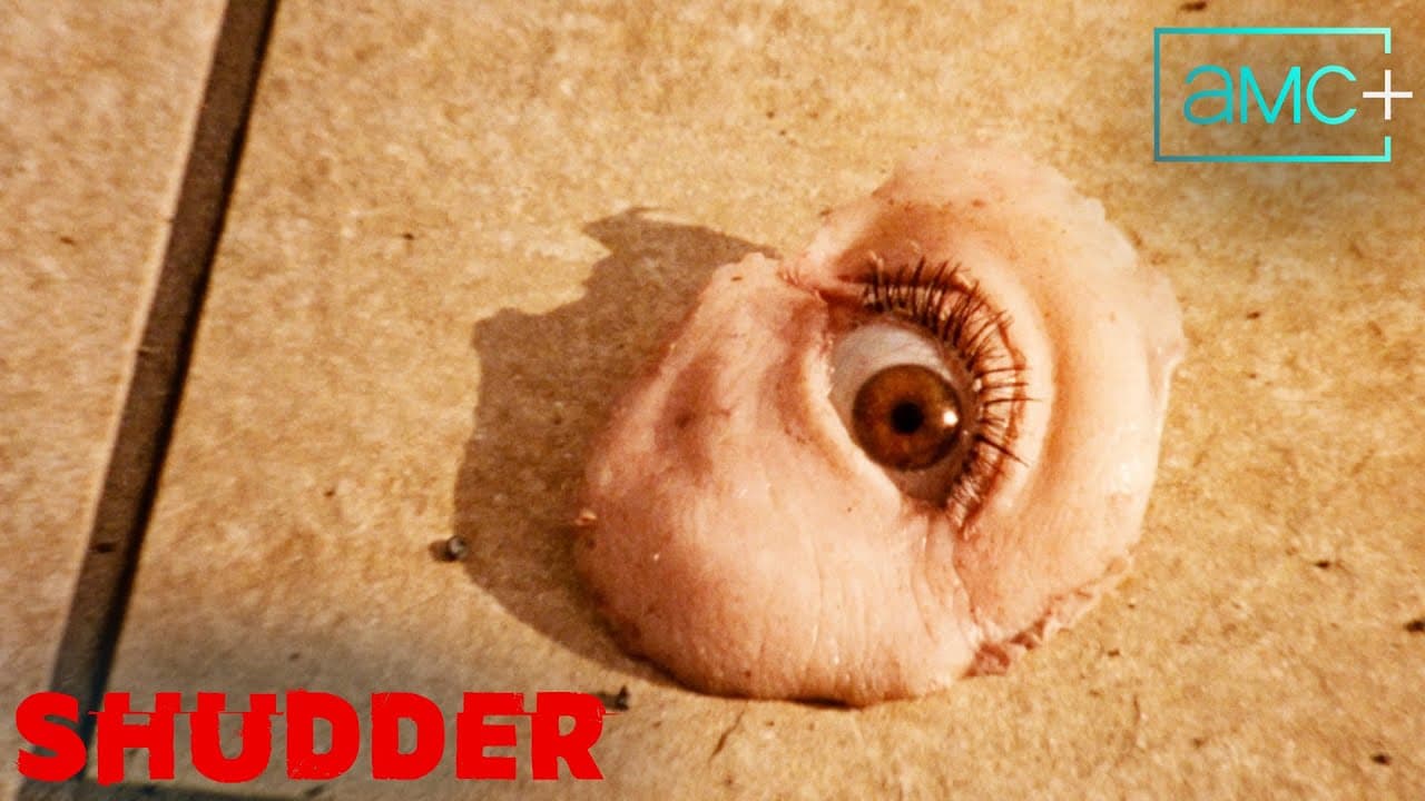 Reflet dans un diamant mort trailer thumbnail