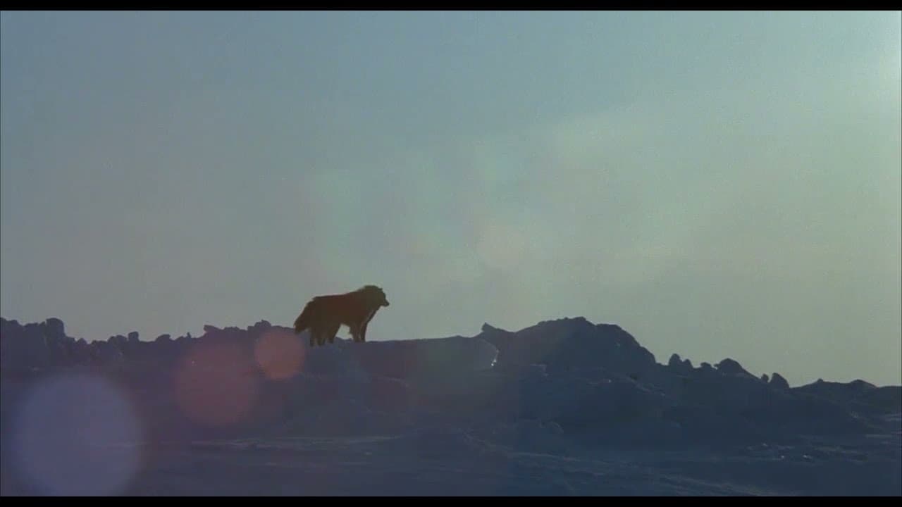 Nankyoku Monogatari trailer thumbnail