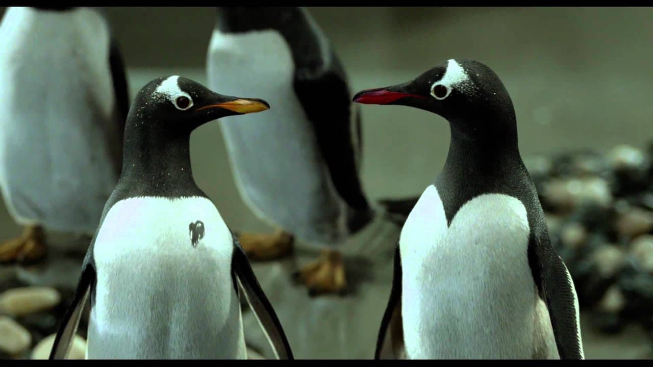 Mr. Popper's Penguins trailer thumbnail