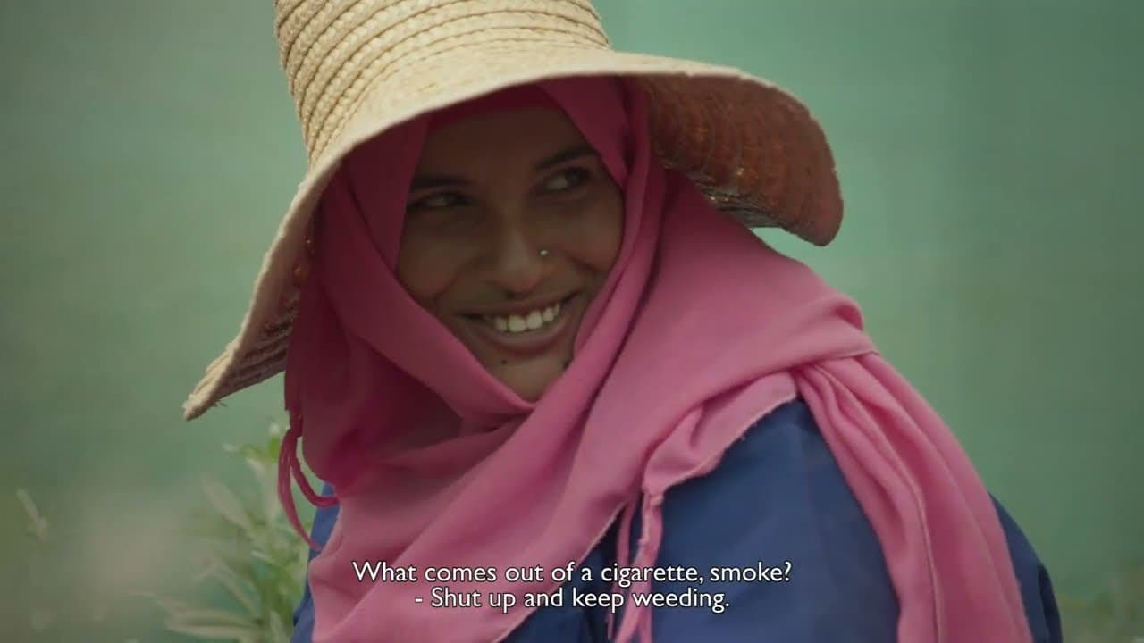 Wild Relatives trailer thumbnail