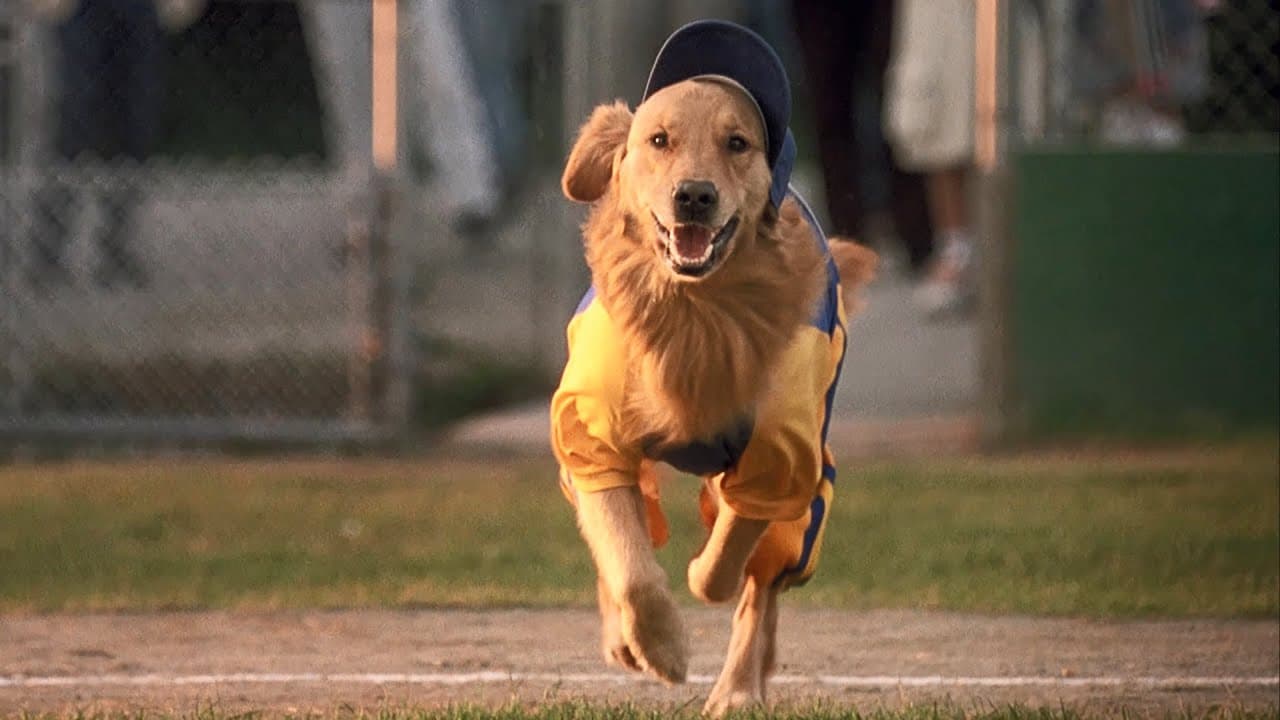 Air Bud: Seventh Inning Fetch trailer thumbnail