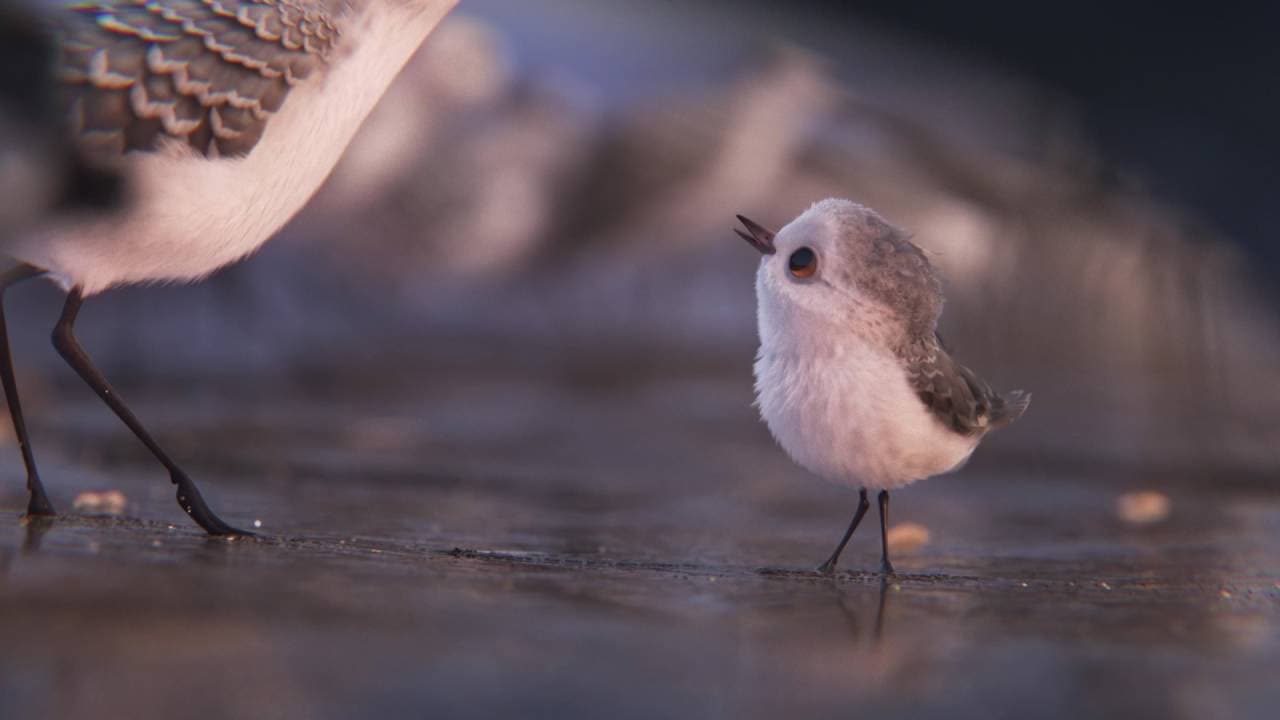 Piper trailer thumbnail