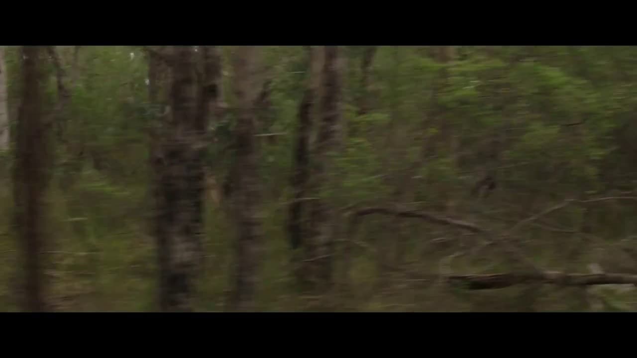 Killing Ground trailer thumbnail