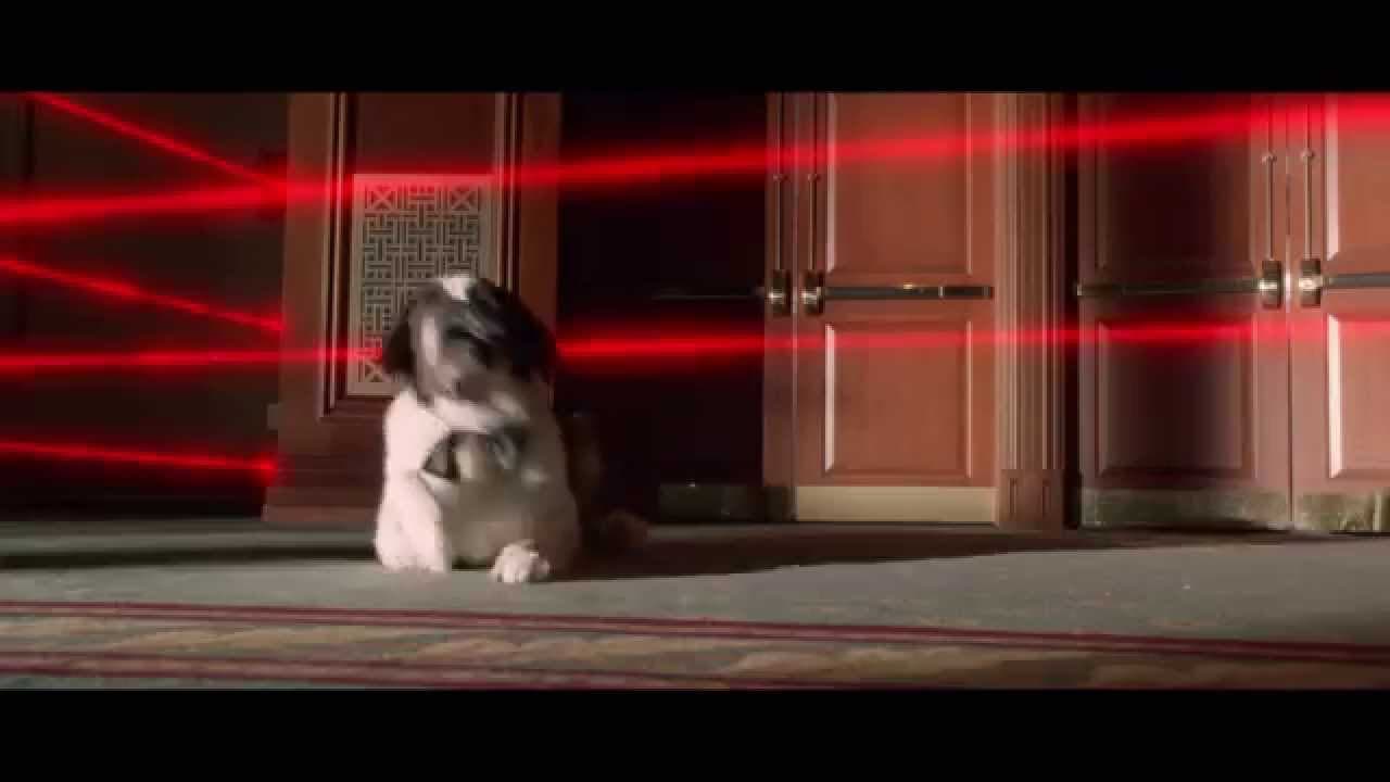Beethoven's Treasure Tail trailer thumbnail