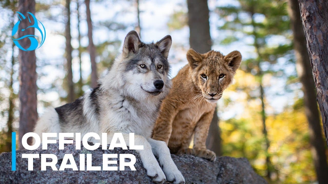 The Wolf and the Lion trailer thumbnail