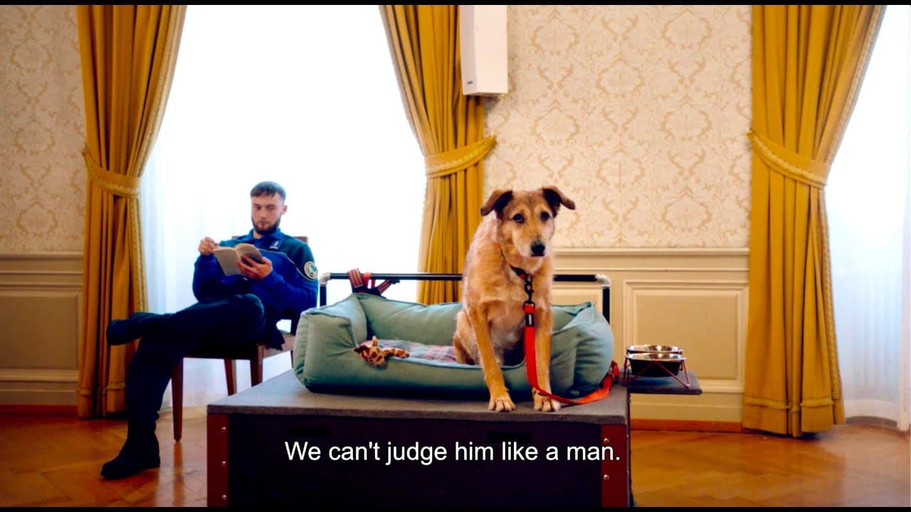 Le Procès du Chien trailer thumbnail